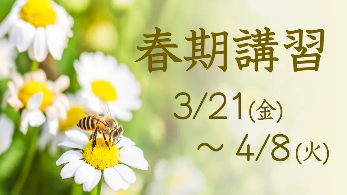 夏期講習の日程案内。春の花とミツバチを背景にした講習告知画像。